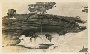 Image of Walling up the cave for a camp